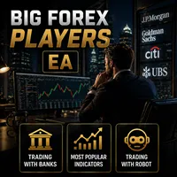 Big Forex Players